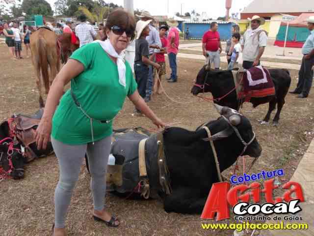 Cavalgada (23� Anivers�rio de Cocalzinho)